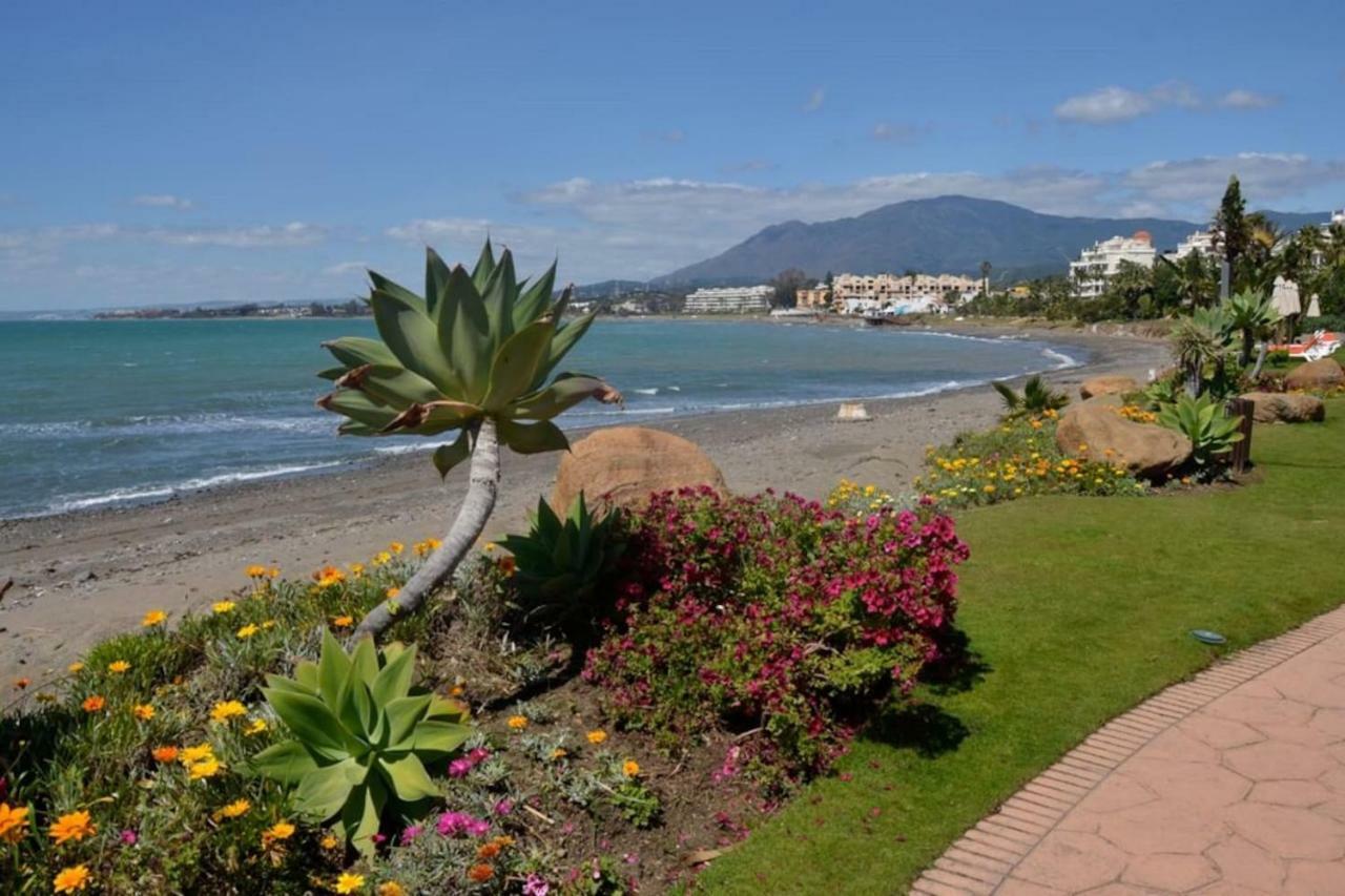 Casa Cachita 2-confortable Estudio A Pie De Playa Appartement